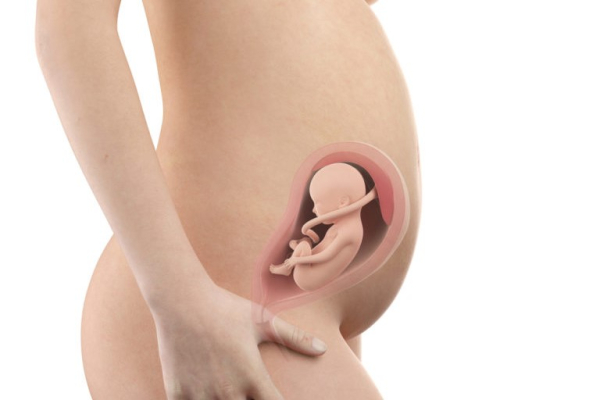 懷孕第26週 重心不穩手腳腫多休息寶寶的成長狀況 Hello醫師