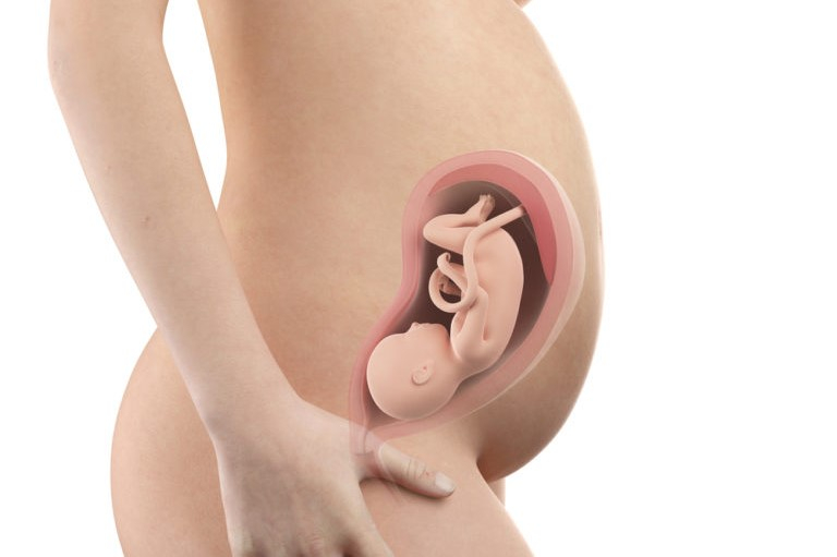 懷孕第29週 寶寶運動變少可能危險寶寶的成長狀況 Hello醫師