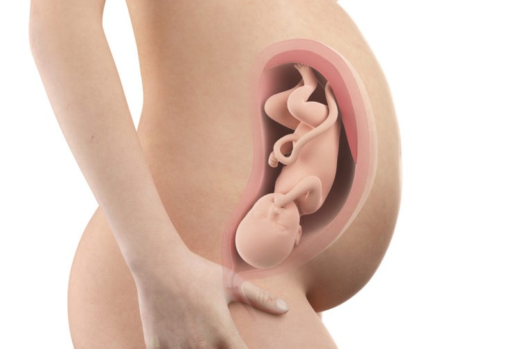 懷孕第35週 子宮膨脹壓內臟腸胃不適寶寶的成長狀況 Hello醫師