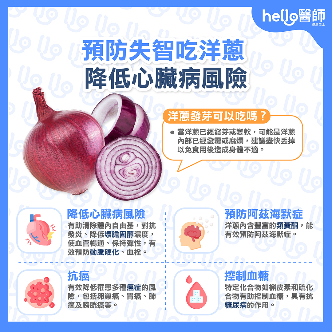洋蔥是什麼？使用劑量、功效原理、潛在的副作用