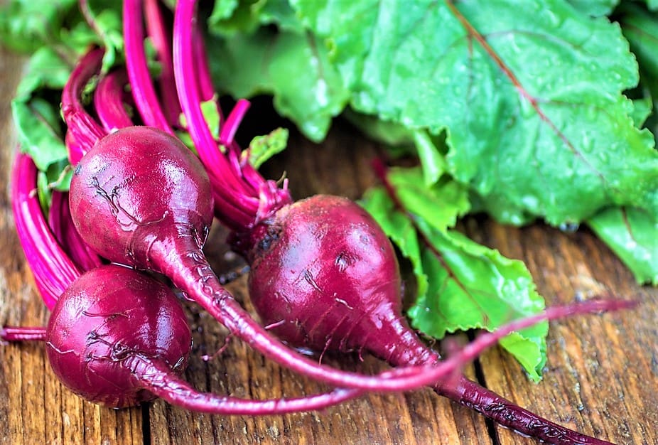 甜菜 功效原理 潛在副作用與建議劑量 Hello 醫師