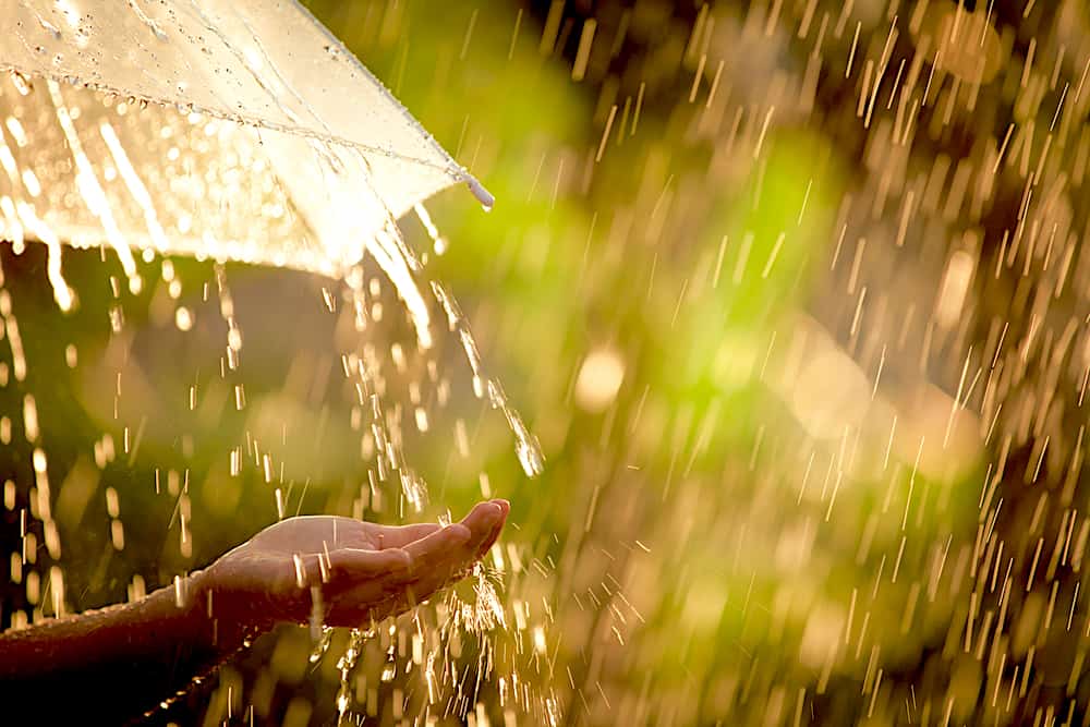 梅雨下不停！濕度高不僅更悶熱、還可能引發季節性憂鬱