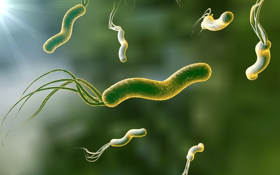 幽門螺旋桿菌感染:原因、症狀、治療、預防