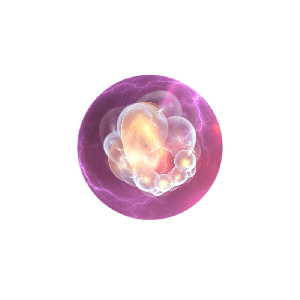 第 2 週