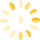 第 5 週