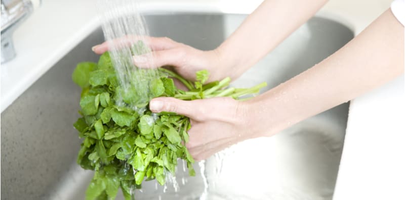 洗菜還在加鹽、小蘇打和醋？把握1關鍵有效去除蔬果殘留農藥