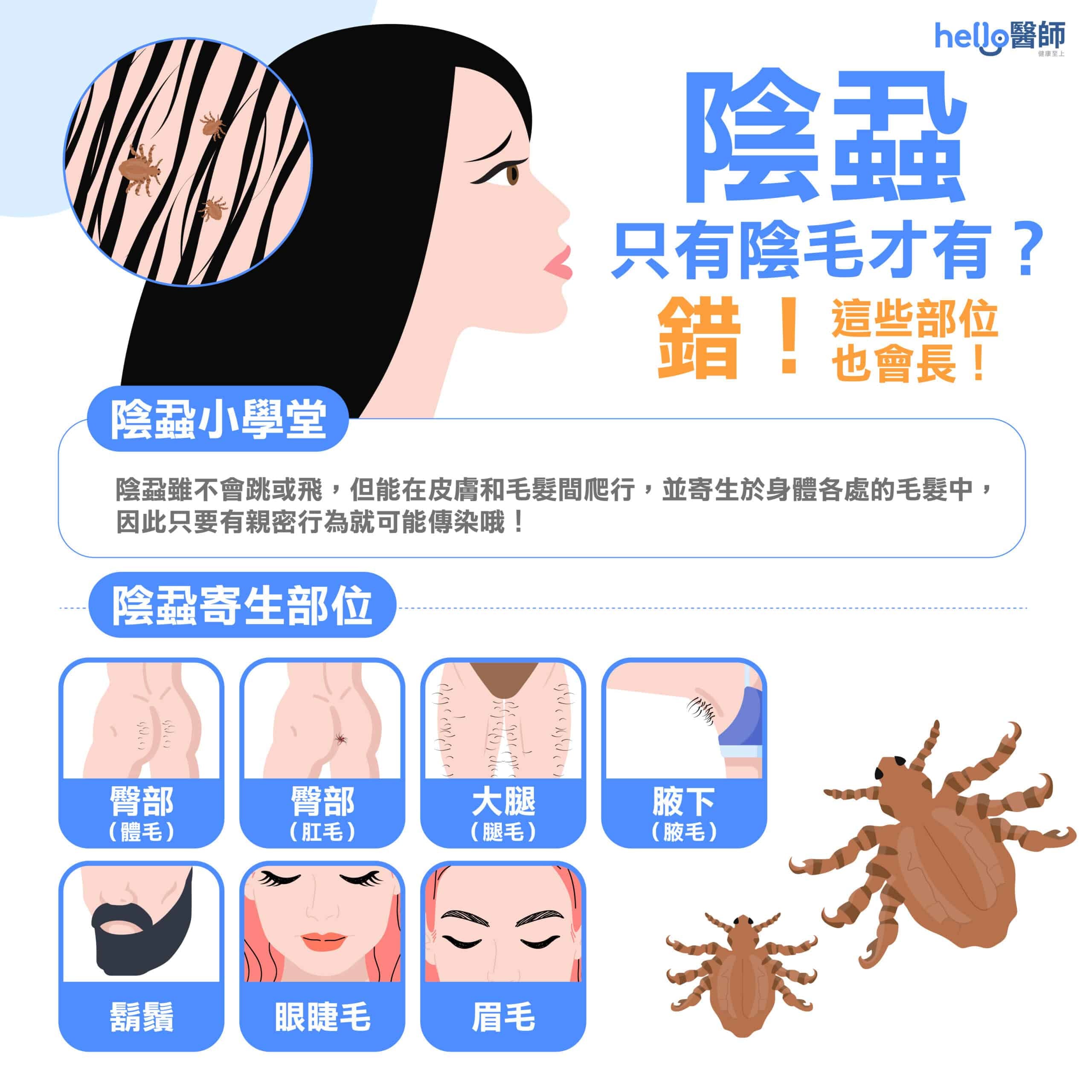陰蝨怎麼來的？胯下癢、陰毛癢當心陰蝨上身！有效除「蝨」先做這一步！ - Hello 醫師
