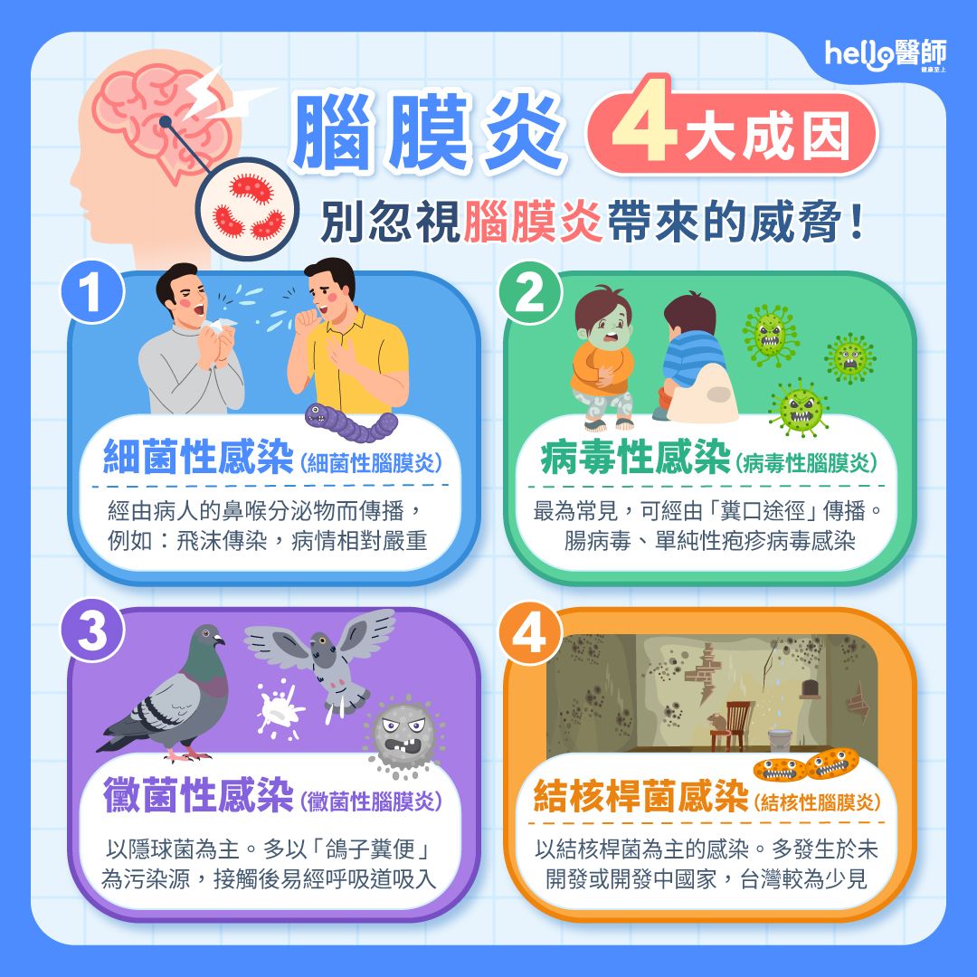 腦膜炎4大成因