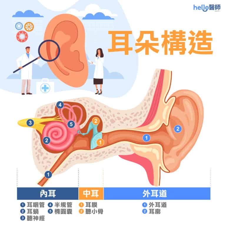 前庭神經炎多久會好?暈眩原因、治療及飲食重點一次看