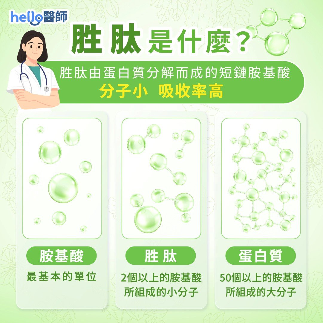 胜肽是什麼