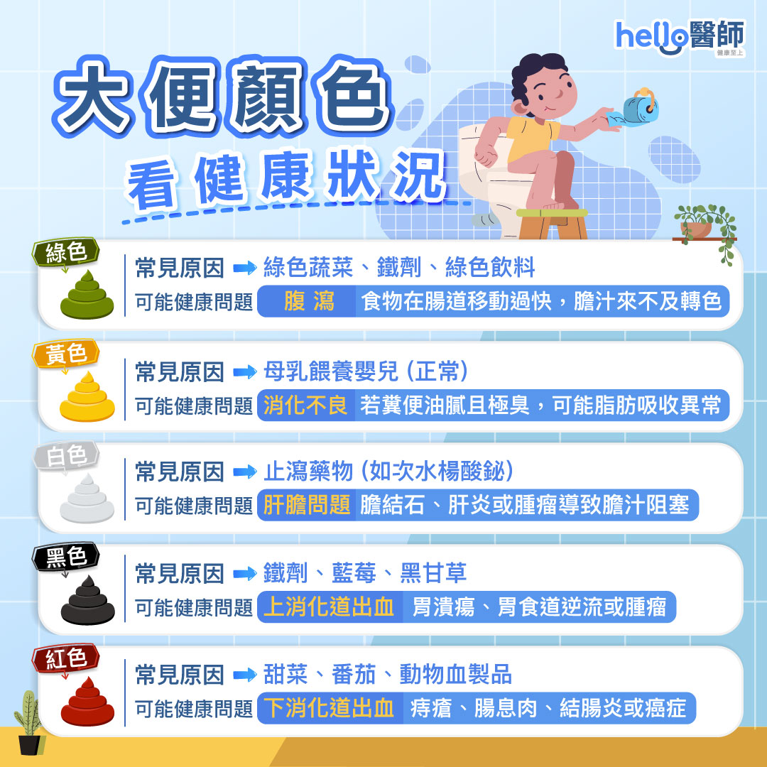 便便學問大！從大便顏色形狀看健康狀況