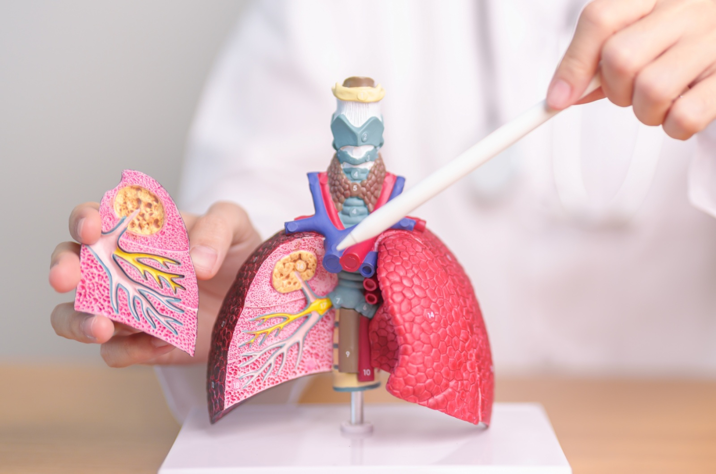 晚期肺癌治療及存活率解析！名醫詳解EGFR肺癌標靶治療藥物