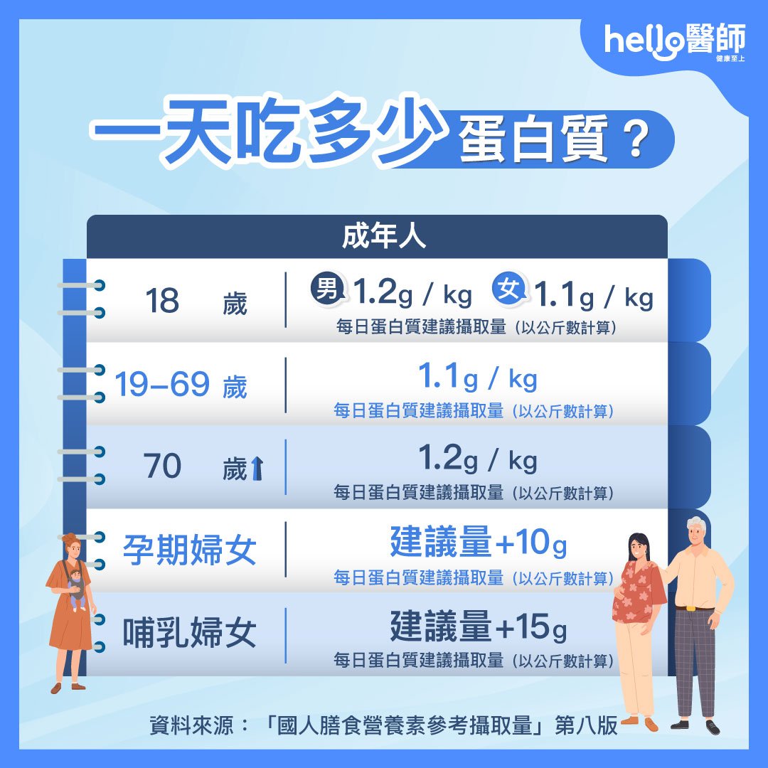 蛋白質攝取量：成人