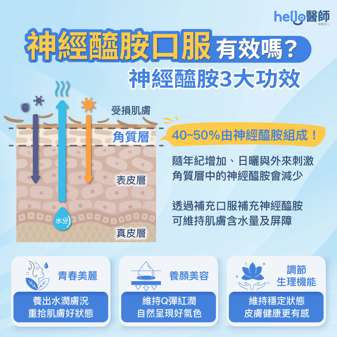 神經醯胺口服有效嗎？什麼時候吃？口服神經醯胺功效、副作用解密