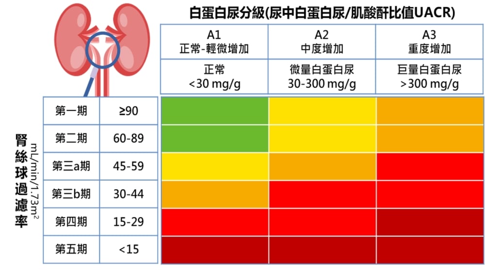 白蛋白尿分級