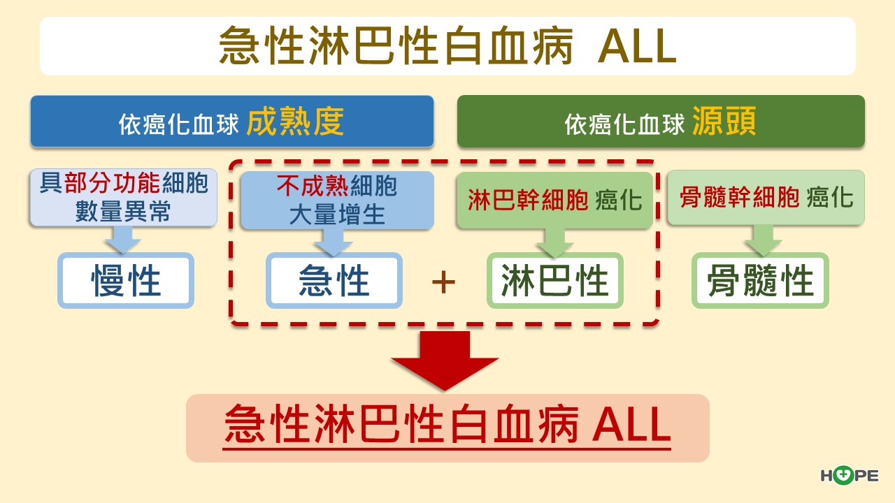 急性淋巴性白血病(ALL)
