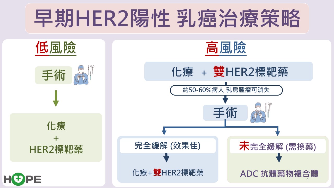 早期HER2乳癌治療策略