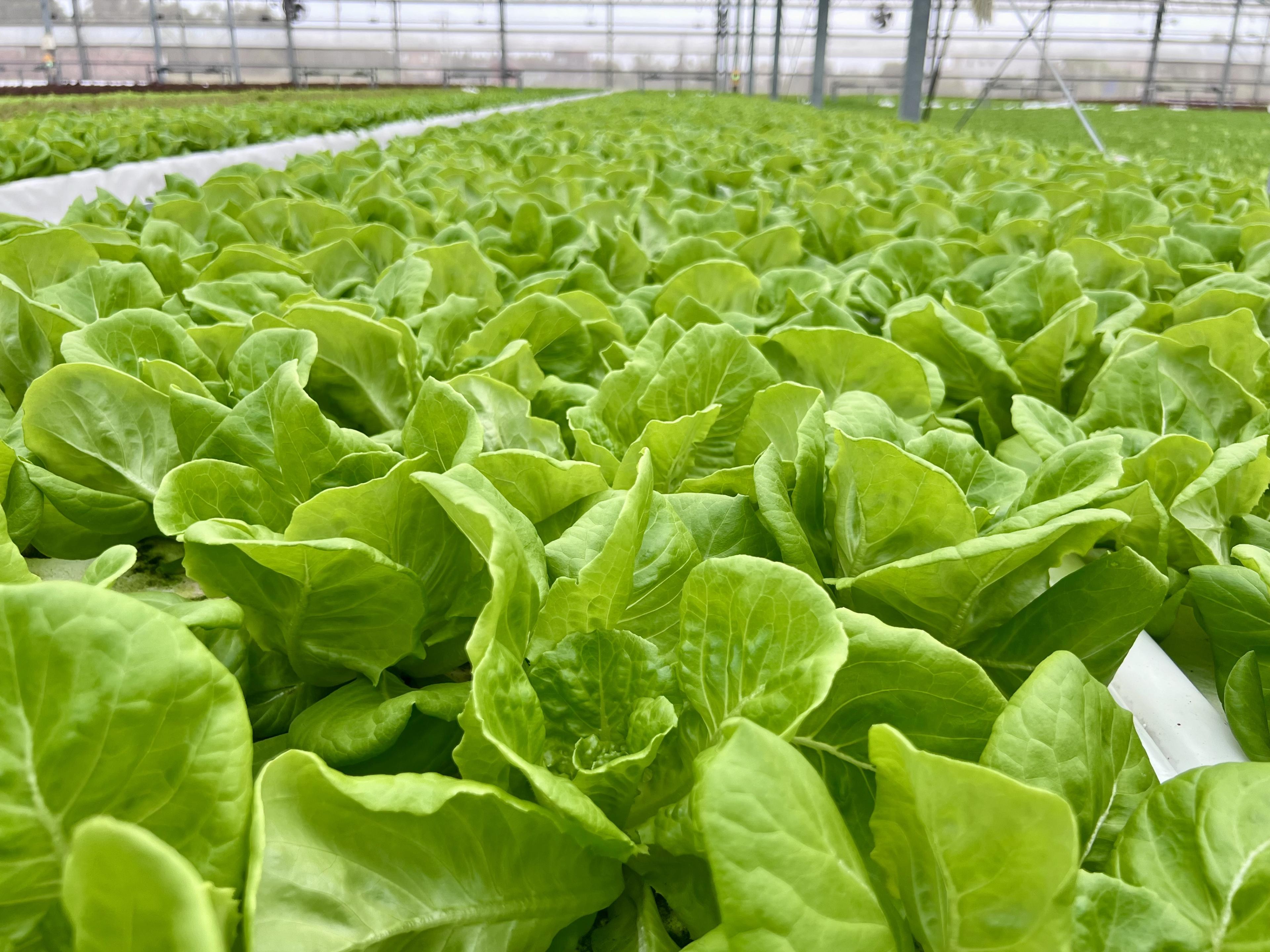 smart-and-resilient-smart-agriculture