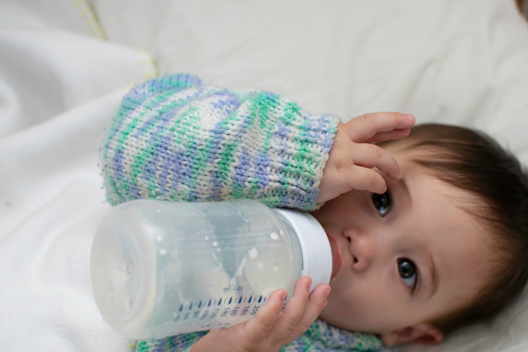 【雀巢奶粉回收懶人包】哪些批次受影響？台灣買得到嗎？仙人掌桿菌是什麼？一次看懂