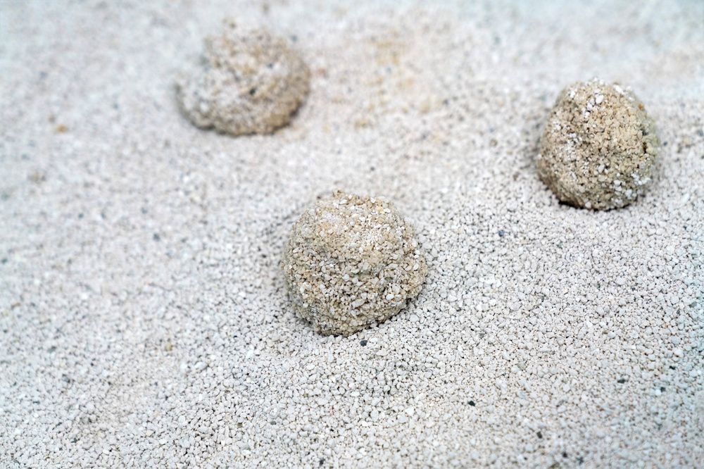 礦砂的主流成分為膨潤土（Bentonite），這是一種天然黏土，開採自露天礦場，具有遇水會膨脹並形成硬塊的特性，十分適合用於製作貓砂。