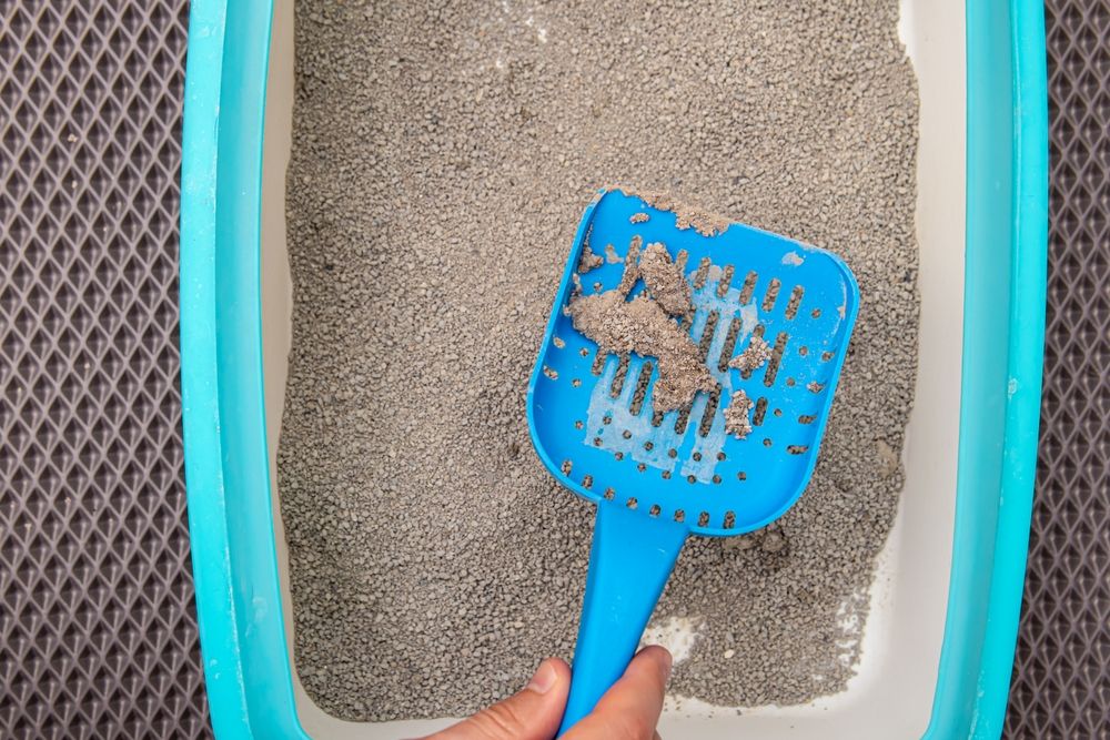 礦砂凝結力差，尿塊容易碎成多個小塊，清理時就必須反覆翻找、鏟除，耗費更多時間與精力。