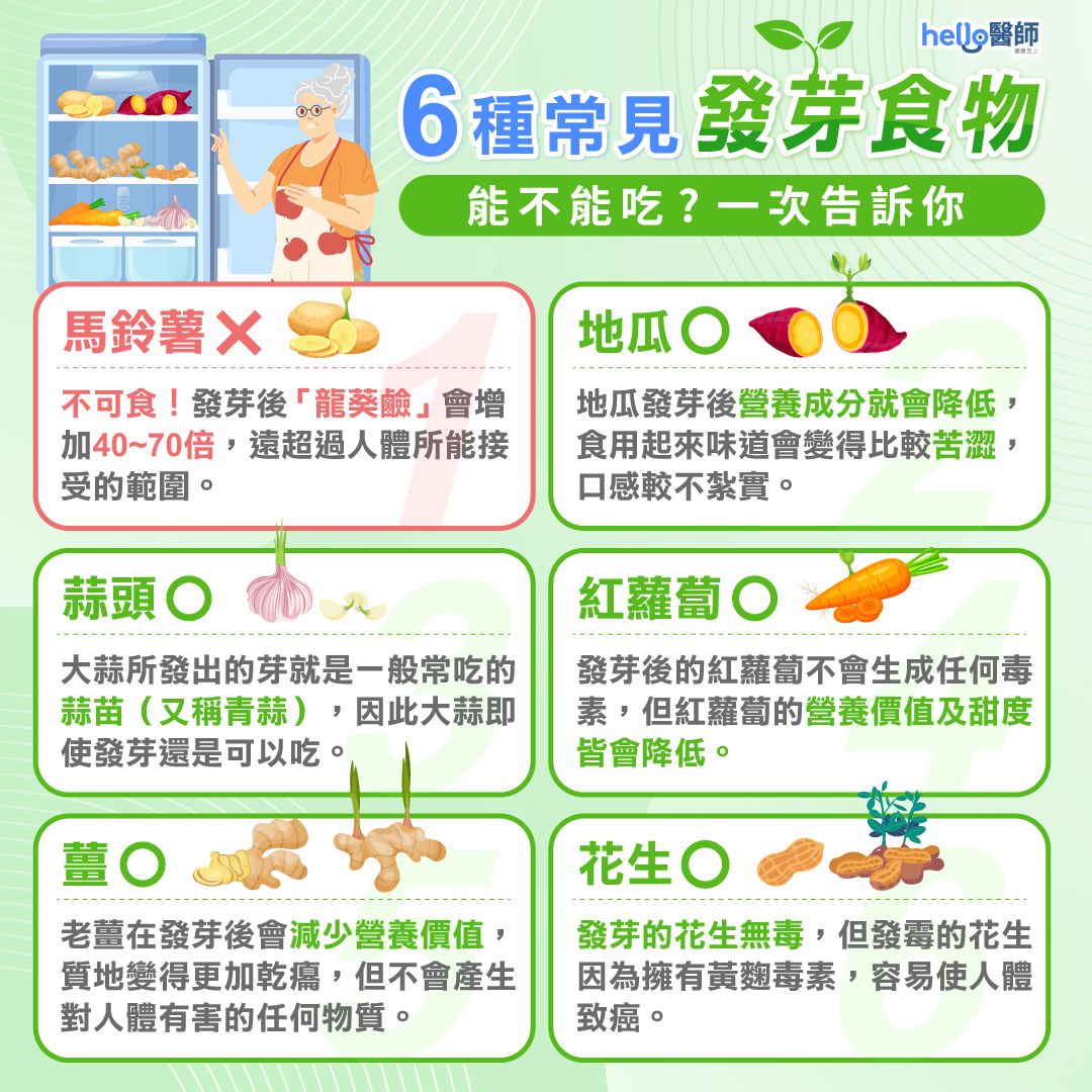 6種常見發芽食物