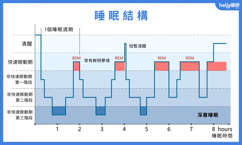 睡眠結構