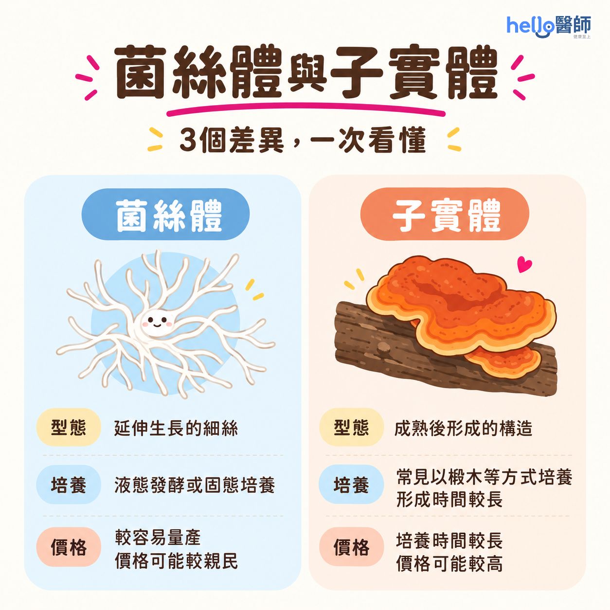 牛樟芝-菌絲體-子實體